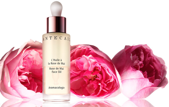 �� ������ ����