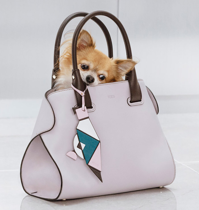 ��� ������