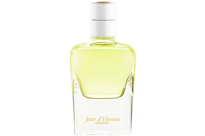 ����� ���������