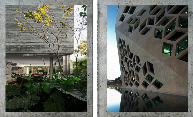 C���������� �����