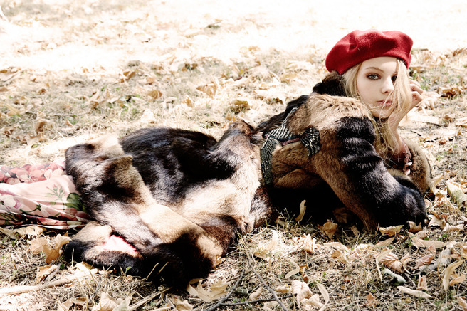 Gucci �����������: ������ Aizel � ��������� ����� ���������