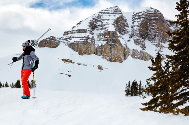 �����, ������������� ������ Roxy