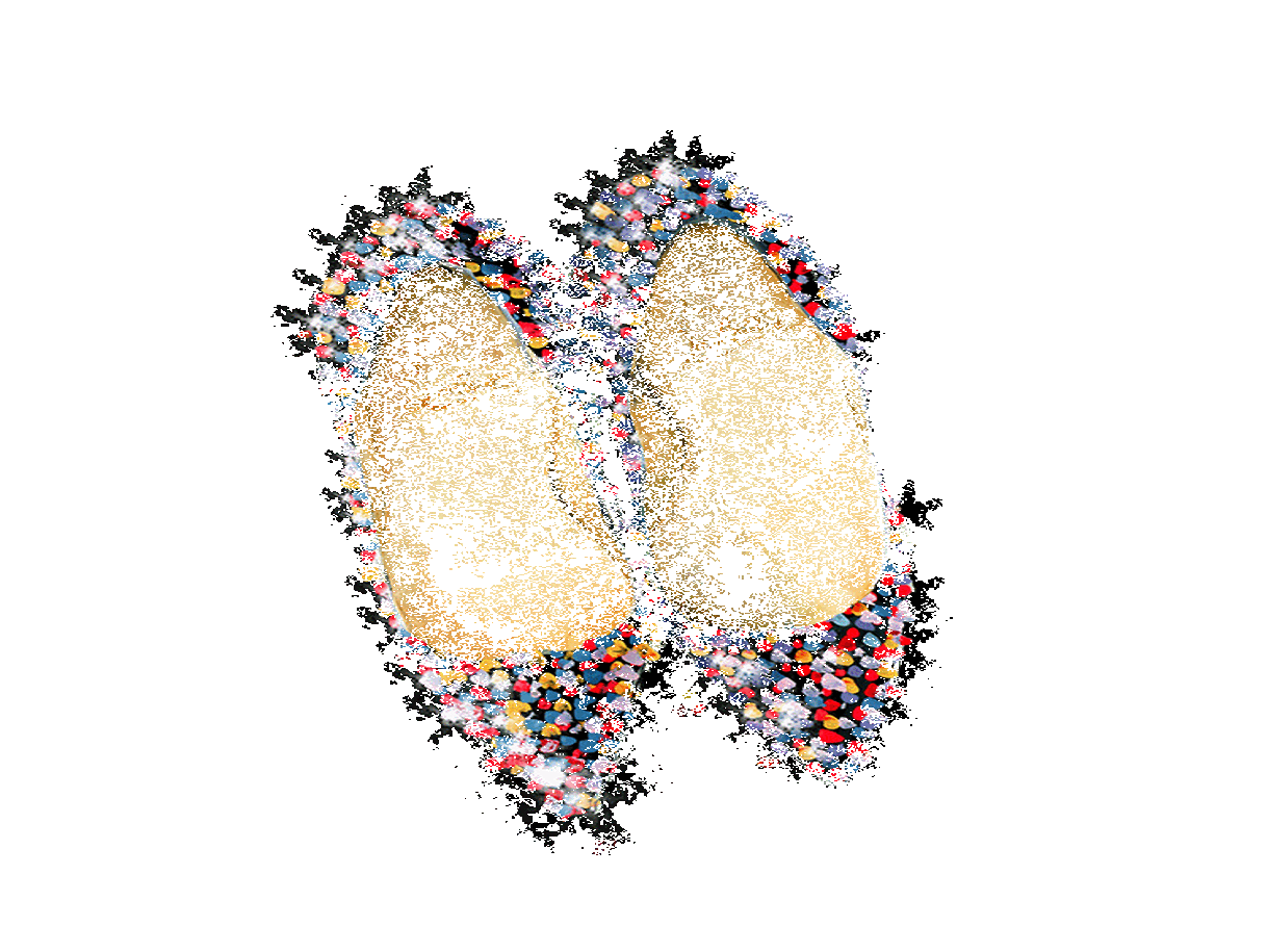 �������� ����� ����� � ������ ��������� Christian Louboutin