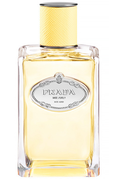 ������ Infusion de Mimosa c ������� ������ ������ ��������� ������