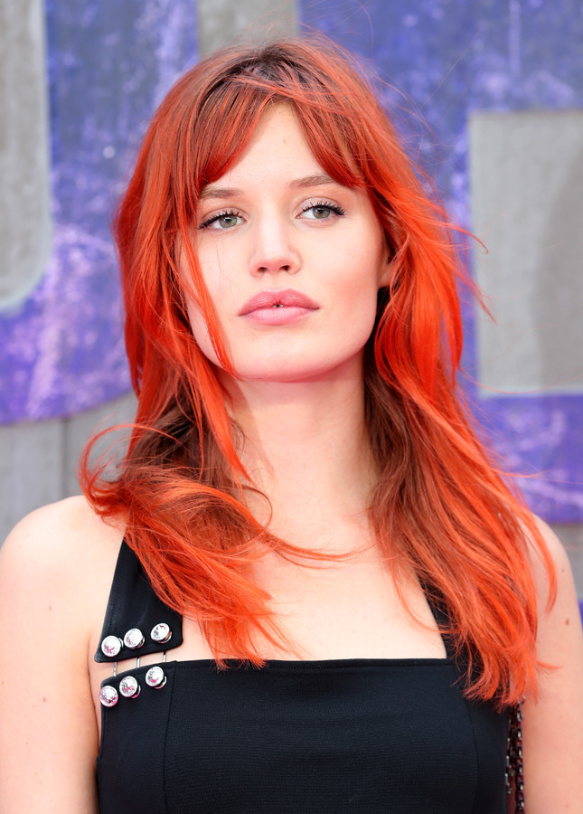 �������-������������ ������ �������� ��� �������