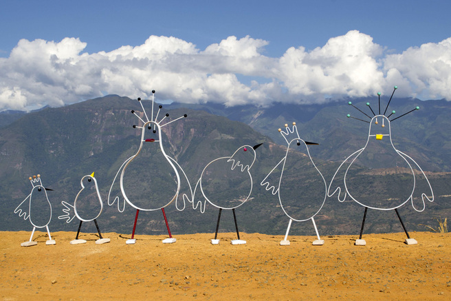 ����� ����, ���� ������ � �������������� ����