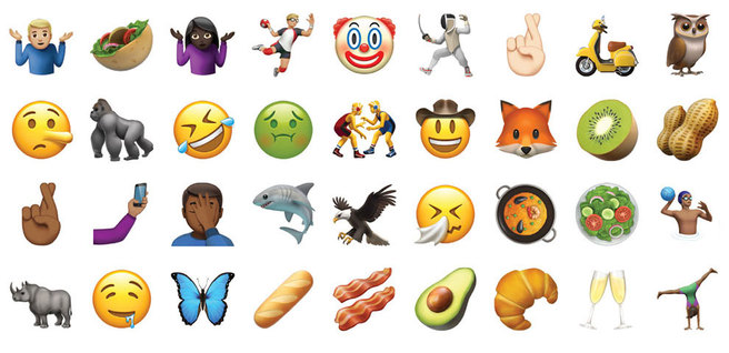 ������ ��������, ����� � �������