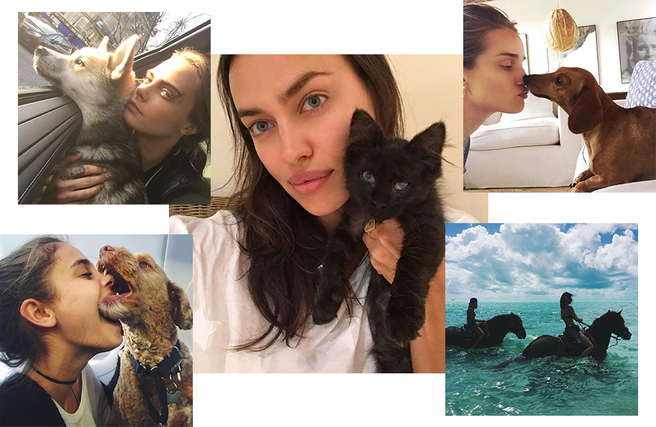 15 ����� ���������� ������� � ���������� � 2016 ����